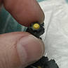 Kailh DC12V 50mA Mute кнопка SMD тактова 6*6*7.3 мм (Yellow) Mute Button Silent Switch Wireless Mouse, фото 6