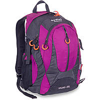 Рюкзак туристический DTR G25 цвет фиолетовый tn