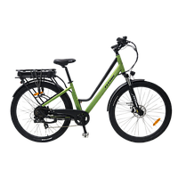 Titan Електровелосипед E-Titan Carte 29" 17" Зелений-Чорний