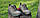 Кросівки чоловічі хакі весняні літні Кроссовки мужские хаки весенние летние (Код: 3402), фото 10