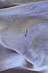Спортивний костюм жіночий велюровий бузкового кольору Уцінка р.2 176037T Безкоштовна доставка, фото 5
