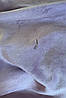 Спортивний костюм жіночий велюровий бузкового кольору Уцінка р.2 176037P, фото 5