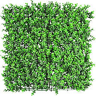 Декоративное зеленое покрытие Engard Самшит 50*50 см (GCK-03) TV, код: 7927234