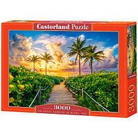 Пазлы Castorland Цветной восход солнца в Майами 3000 элементов 92 х 68 см C-300617 EV, код: 8264732