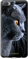 Силиконовый чехол Endorphone HTC Desire 12 Plus Красивый кот (3038u-1485-26985) GL, код: 7500891