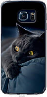 Чехол 2d пластиковый Endorphone Samsung Galaxy S6 Edge G925F Дымчатый кот (825t-83-26985) MD, код: 7950017