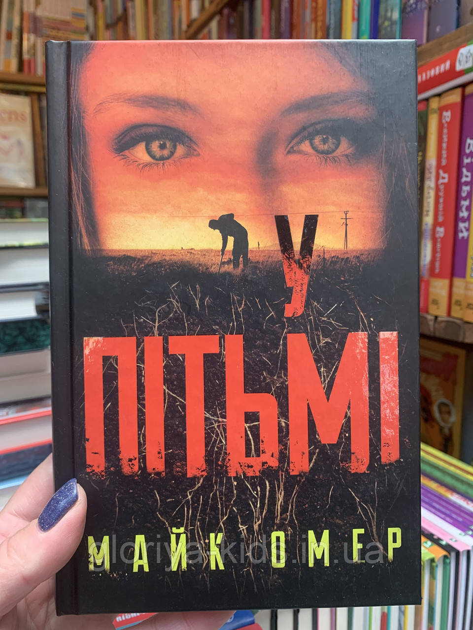 Книга У пітьмі | Майк Омер