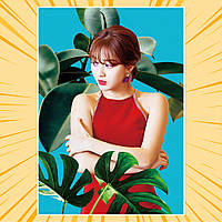 Плакат А4 K-Pop Twice 008