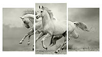 Модульная картина Декор Карпаты 100х53 см Бегущие лошади (M3-17 1) DR, код: 184266