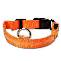 Ремешок регулируемый для собак светящийся 9393 S оранжевый TRN TRN