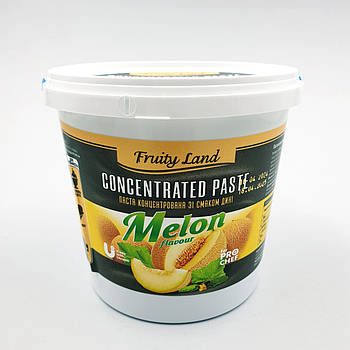 Паста концентрована Fruity Land Диня — 100 г (фасування)