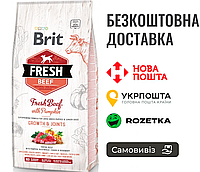 Сухой корм Brit Fresh для щенков и молодых собак больших пород, с говядиной и тыквой, 12 кг