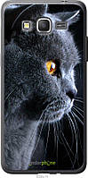 Пластиковый чехол Endorphone Samsung Galaxy Grand Prime G530H Красивый кот (3038t-74-26985) MD, код: 7500835