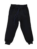 Теплые штаны спортивные Лио синие 140 (4810553)