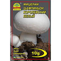 Мицелий грибов Насіння країни Шампиньон королевский белый 10 г