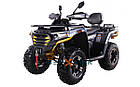 Квадроцикл ATV TGA300F (Sharx 300) Grey/Yellow, фото 7