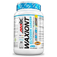 Гейнер Amix Nutrition Performance Amix WaxIont 1000g (Mango)