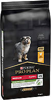 Сухой корм Purina Pro Plan Dog Medium Puppy с курицей 12 кг