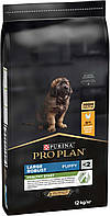 Сухой корм для щенков больших пород Purina Pro Plan Large Robust Puppy с курицей 12 кг