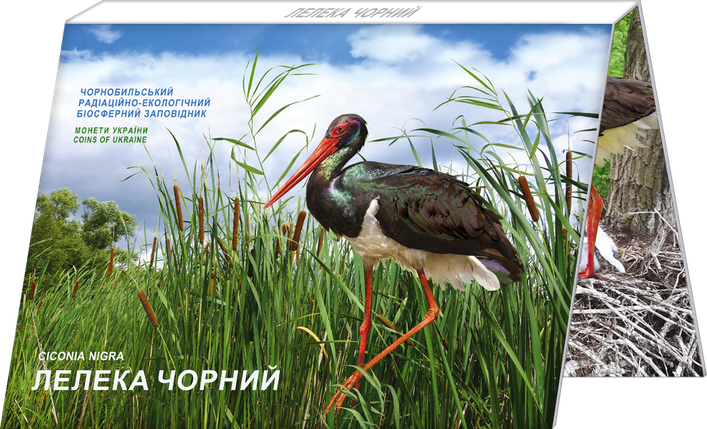 Монета НБУ "Чорнобиль. Відродження. Лелека чорний" у сувенірному пакованні, фото 1