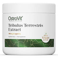 Стимулятор тестостерона OstroVit Vege Tribulus Terrestris Extract, 100 грамм MS