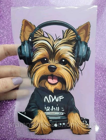 Термонаклейка на одяг, фото 1