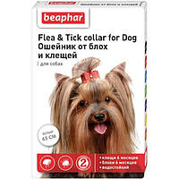 Beaphar Flea and Tick collar for Dog - ошейник Бифар от блох и клещей для собак, белый - 65 см
