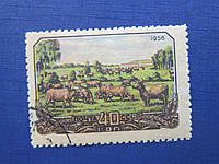 Марка СРСР 1956 Сільське господарство тваринництво фауна корова гаш