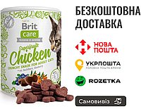 Лакомства для кошек Brit Care Cat Snack Superfruits Chicken, курица 100 г