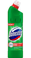 Средство для унитаза Domestos гель Хвойная свежесть 750 мл