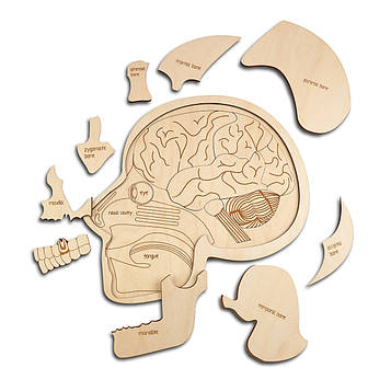 Пазл з дерева Woodcraft череп  людини 22,8х21.3 Код/Артикул 29 А228