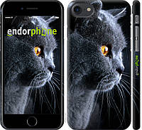 Пластиковый чехол Endorphone на iPhone 7 Красивый кот (3038t-336-26985) GT, код: 1390624