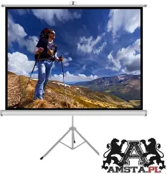 Проекційний екран Art Na Statywie 84" 170X127Cm Ts-84 4:3
