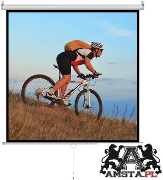 Проекційний екран Art Półautomat 84" 213X213Cm Ms-84 1:1