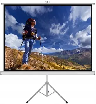 Проекційний екран Art Ekran Ręczny Na Statywie 1 1 84" 152X152Cm Ts (ERT6011)