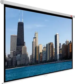 Проекційний екран AvTek Video PRO 240 BT