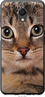 Чехол силиконовый Endorphone Meizu M6s Полосатый котик (2978u-1364-26985) GT, код: 7954272