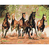 Картина по номерам Табун лошадей BS8288 13894 PS