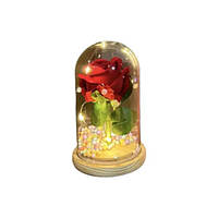 Вечная Роза в колбе с подсветкой в подарочной упаковке Красная маленькая 14662 PS