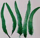 Перо півня Натуральне цвіт Зелений 20-30 см, фото 3
