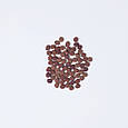 Сухий корм Carnilove True Fresh Cat для для дорослих котів, з рибою, 1,8 кг, фото 5