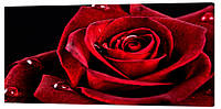 Картина на холсте Декор Карпаты Роза 50х100 см (c7) SB, код: 741343