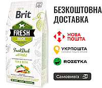 Сухой корм Brit Fresh для взрослых активных собак, с уткой и пшеном, 2,5 кг