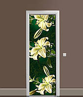 Наклейка на дверь Zatarga «Белая корона» 650х2000 мм виниловая 3Д наклейка декор самоклеящаяс SB, код: 6441933