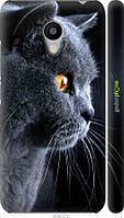 Пластиковый чехол Endorphone Meizu M3s Красивый кот (3038t-943-26985) GT, код: 7501059