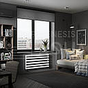 Радіатор Genesis Aqua Ascania 120x60 білий, фото 3