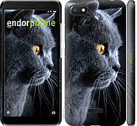 Пластиковый чехол Endorphone на Xiaomi Redmi 6A Красивый кот (3038m-1531-26985) TN, код: 1391025