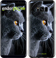 Панель Endorphone на Samsung Galaxy S8 Красивый кот (3038u-829-26985) TE, код: 1390792