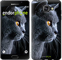 Панель Endorphone на Samsung Galaxy A5 (2016) A510F Красивый кот (3038c-158-26985) TE, код: 1717338