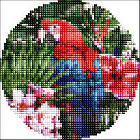 Алмазная мозаика на круглом подрамнике "Яркий попугай" AM-R7918 d19см от LamaToys
